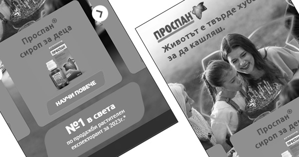 Product Showcase and Carousel