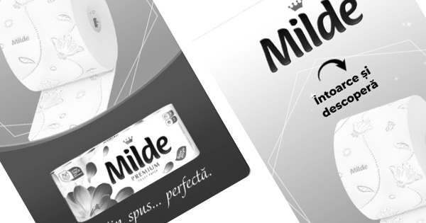 Flip and Video Interactive Banner